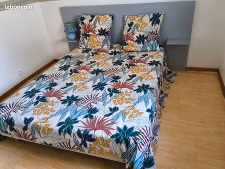 f1 bis meuble 28m2