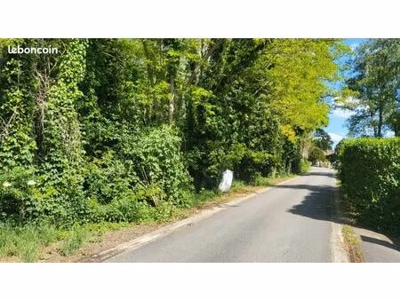 terrain 664 m² auvers saint georges