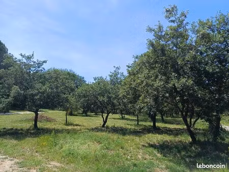 terrain agricole 56000 m2