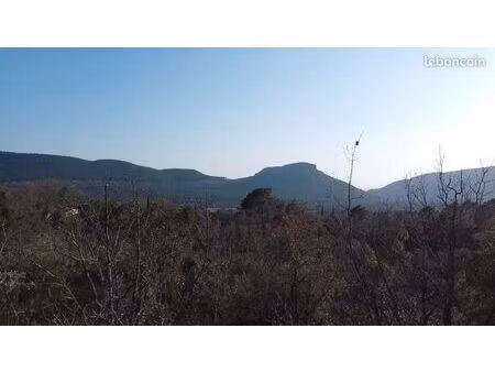 terrain 9 800 m² bagnols en foret
