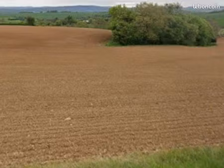terrain de 1700 m2 non constructible pour terrain de loisir à foissy les vézelay lieudit l