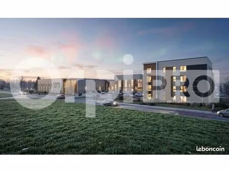 bureau 450 m²