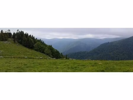 terrain constructible