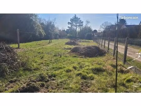 terrain constructible