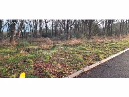 terrain 760 m² lege cap ferret