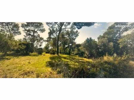 terrain 690 m² sanary sur mer