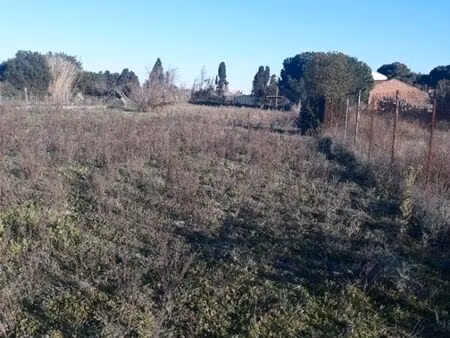 jardin agricole