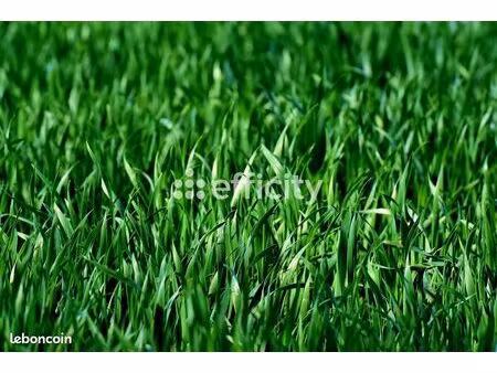 terrain 500 m² mieussy