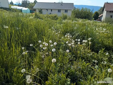 pers-jussy (74930) - terrain constructible – hors lotissement - lot b 500 m2
