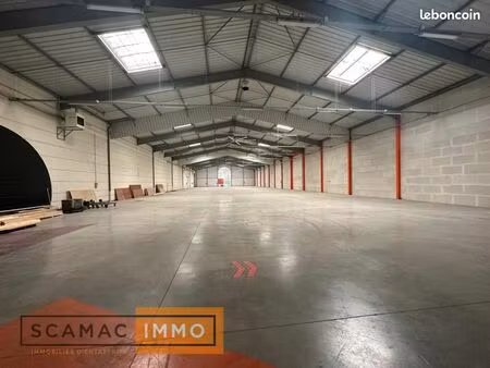 local industriel 2 595 m²