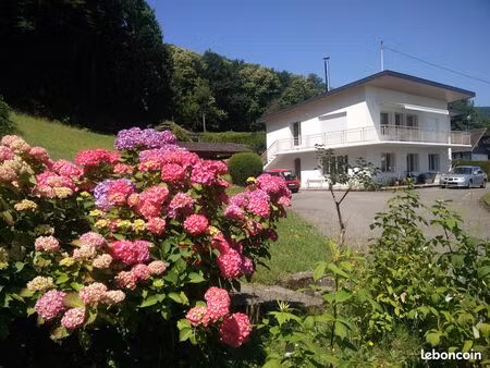 a vendre-maison individuelle-esery