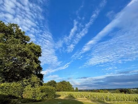 maison cosy avec vue sublime