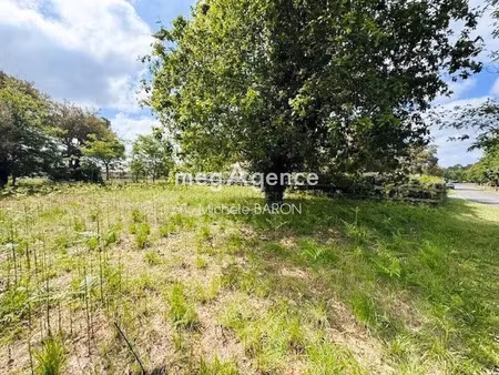 vente terrain à batir 800 m² à moliets-et-maa (40660)  260 000 €