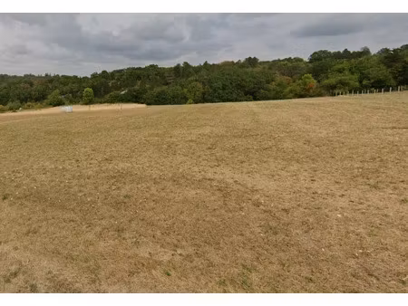 vente terrain 4543 m² à campagnac-lès-quercy (24550)  19 000 €