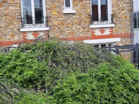 limite bagneux bourg la reine ensemble de deux pavillons sur le même terrain dont un pavil