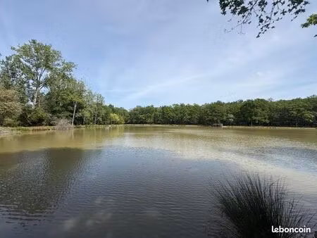 terrain 77 531 m² lathus saint remy