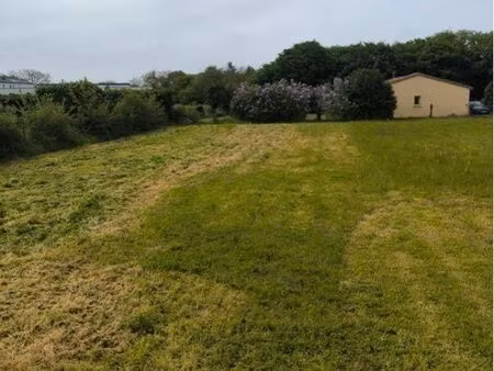 terrain constructible