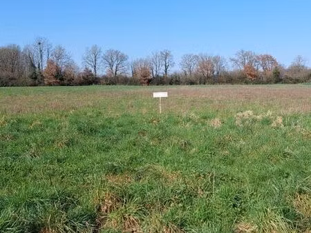 terrain agricole