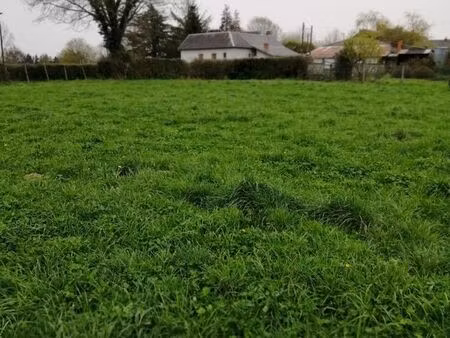 terrain constructible