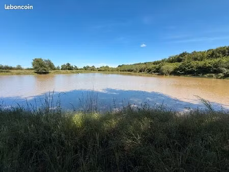 etang sur terrain de 1 5 ha aux portes de moulins