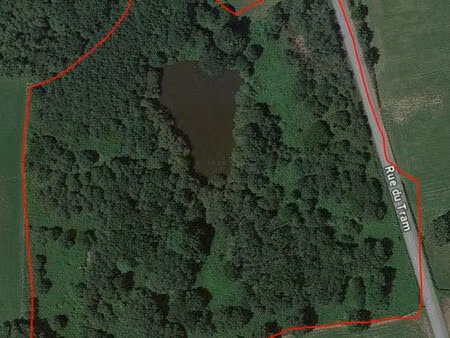terrain 57000m2+ étang +materiel