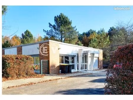 bureau 126 m²