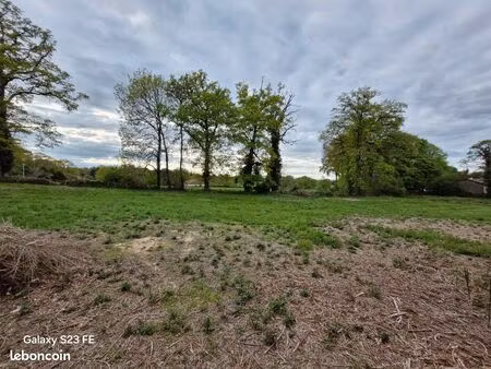 terrain constructible 5000 m2 à boisseuil