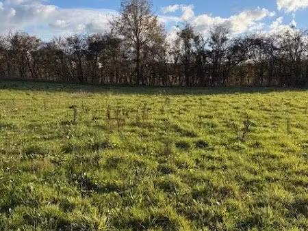 vente terrain 1438 m² à brissarthe (49330)  50 365 €