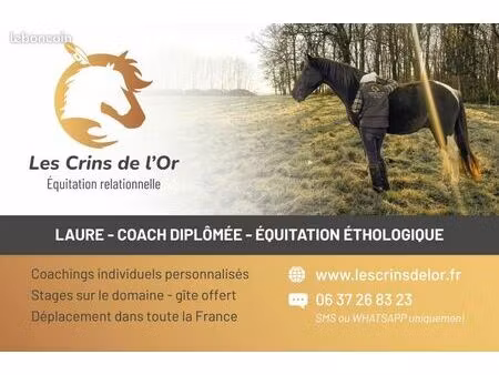 appartement + pension cheval