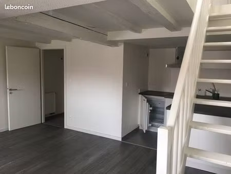 superbe duplex 2p meublé plein centre