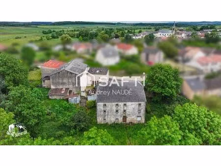 cadre verdoyant et potentiel à révéler