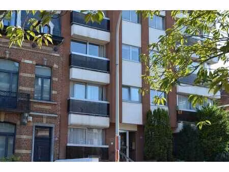 lumineux appartement 1 ch rénové et meublé avec goût