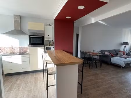 appartement t3 spacieux et lumineux - beauzelle