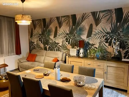 appartement t2 50 m2