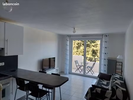 appartement t2 à pinsaguel