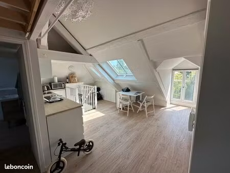 2pièces meublé - 27m2 (58 53m2 au sol) - centre - 1 mn gare - vue seine - tout compris- dp