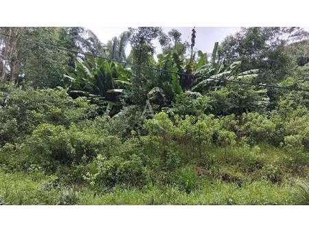 terrain constructible à vendre
