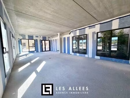 immobilière les allées
