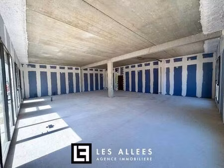 immobilière les allées
