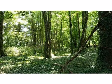 propriété de loisirs à vendre