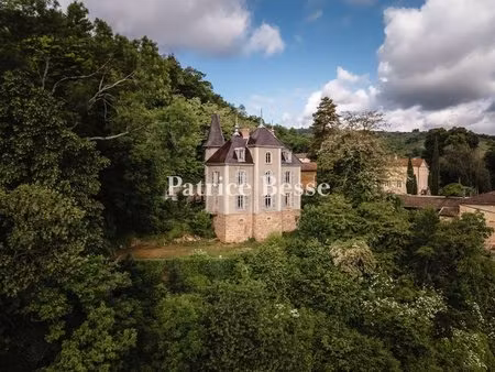 dans le beaujolais  en position dominante avec une vue portant à 180°  un château et son..
