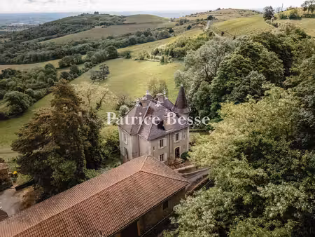 un château en position dominante dans le beaujolais.