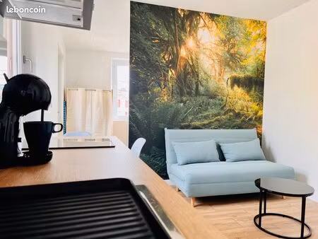?appartement t1bis meublé de standing à tarbes (un éclat dans la forêt)?