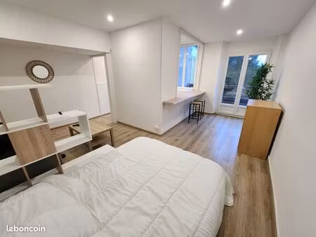 grand studio neuf meublé de 40m2  lumineux  calme  bien isolé  donnant sur une cours arbor