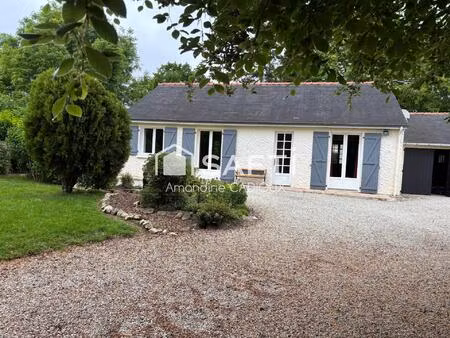 belle maison avec jardin arborer