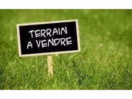 terrain