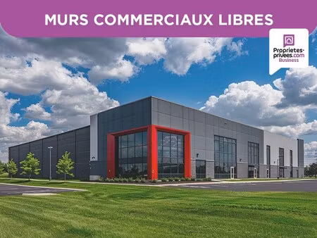 vente commerce marmande 47200 1630m²