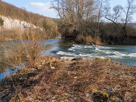 vente commerce pagny sur meuse 55190 400m²