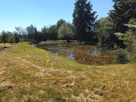 terrain de loisirs lureuil