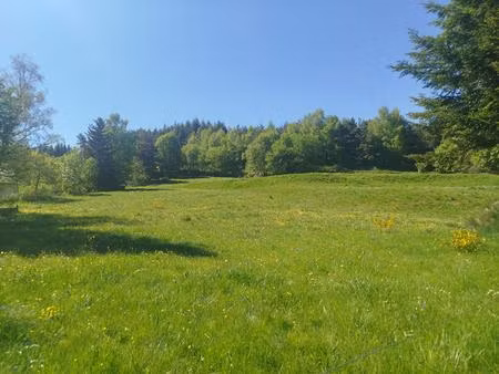 achat terrain 6 438m² chaudeyrac 48170